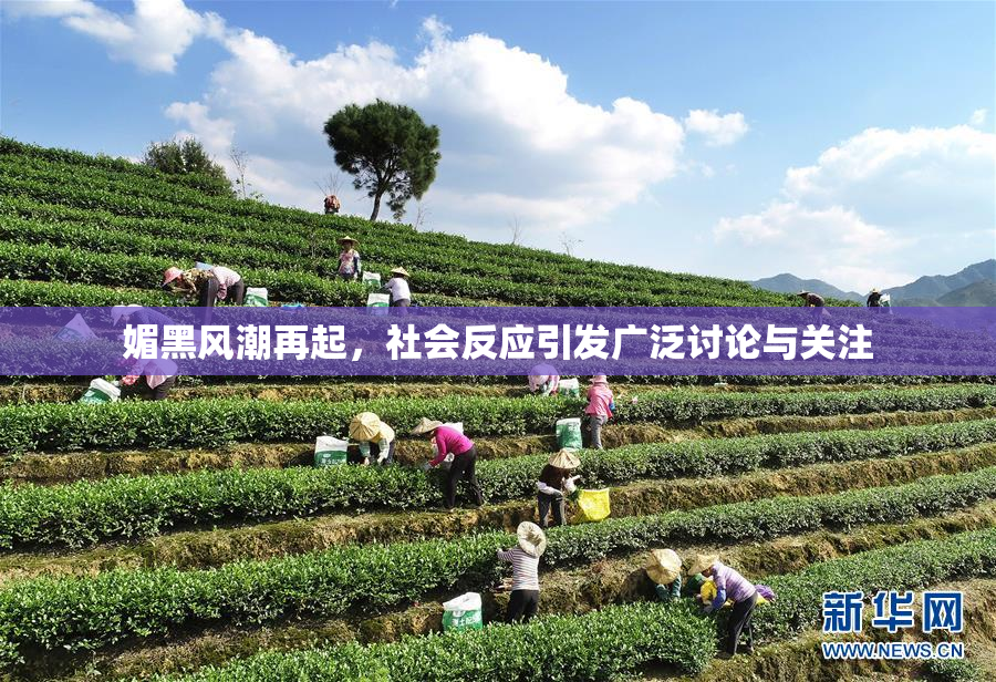 媚黑风潮再起，社会反应引发广泛讨论与关注