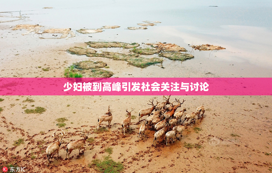 少妇被到高峰引发社会关注与讨论