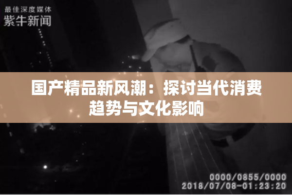 国产精品新风潮：探讨当代消费趋势与文化影响