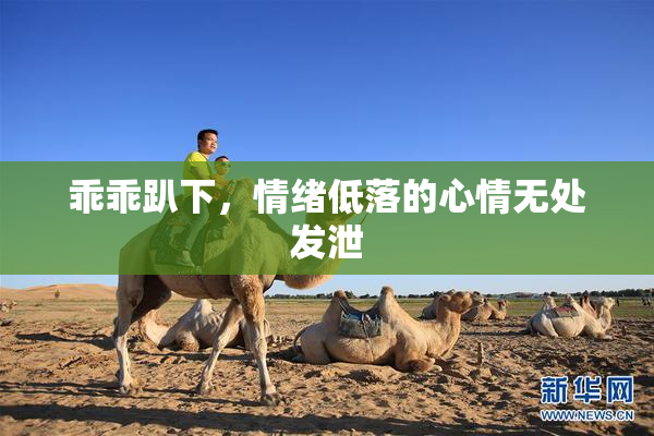 乖乖趴下，情绪低落的心情无处发泄