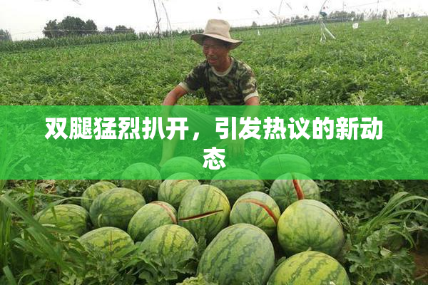 双腿猛烈扒开，引发热议的新动态