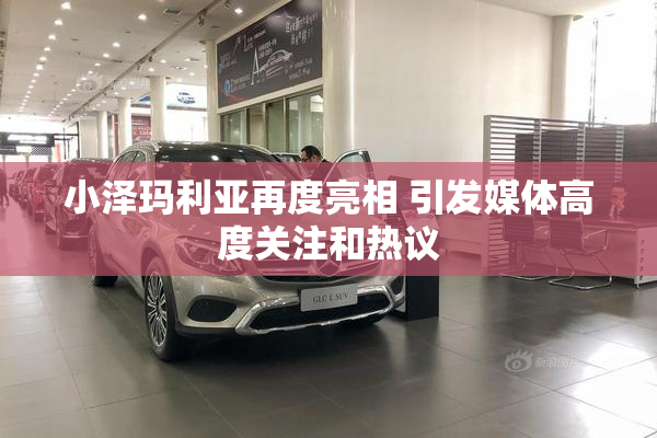 小泽玛利亚再度亮相 引发媒体高度关注和热议