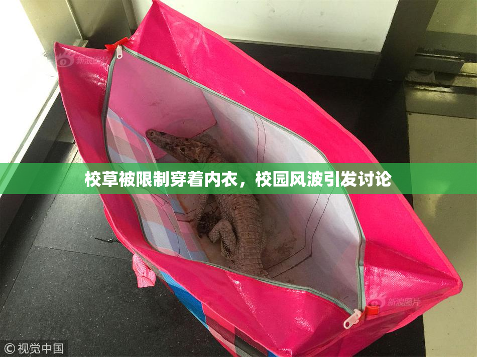 校草被限制穿着内衣，校园风波引发讨论