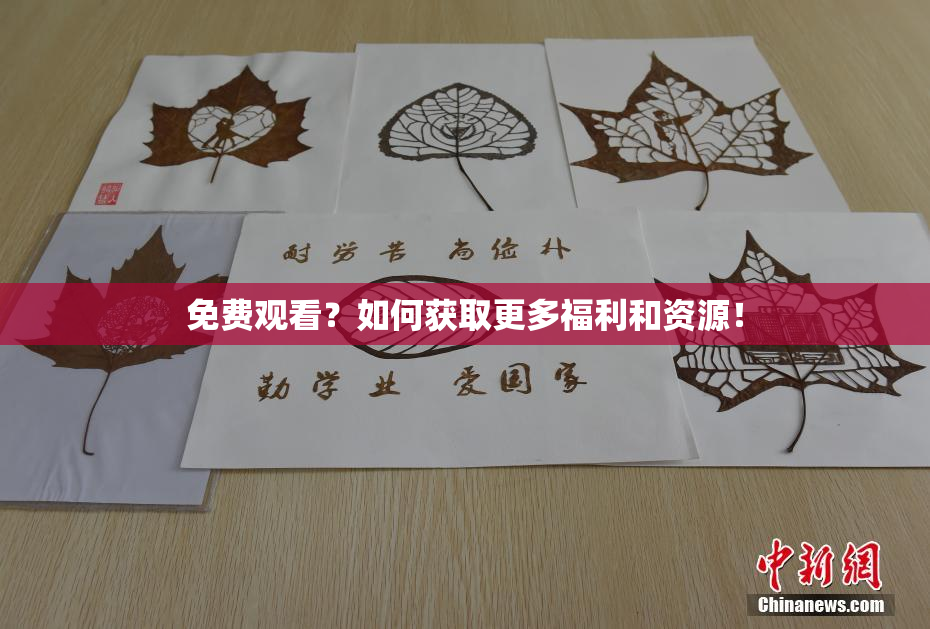 免费观看？如何获取更多福利和资源！