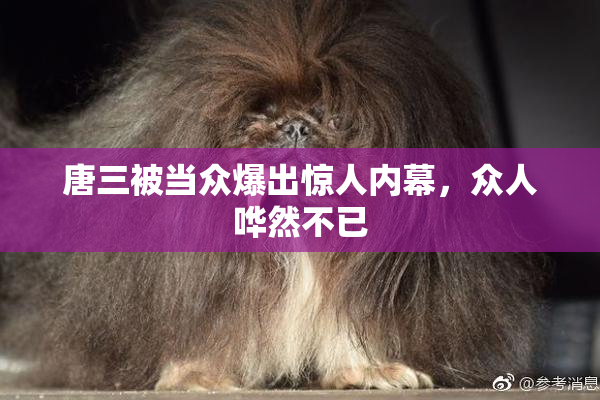 唐三被当众爆出惊人内幕，众人哗然不已