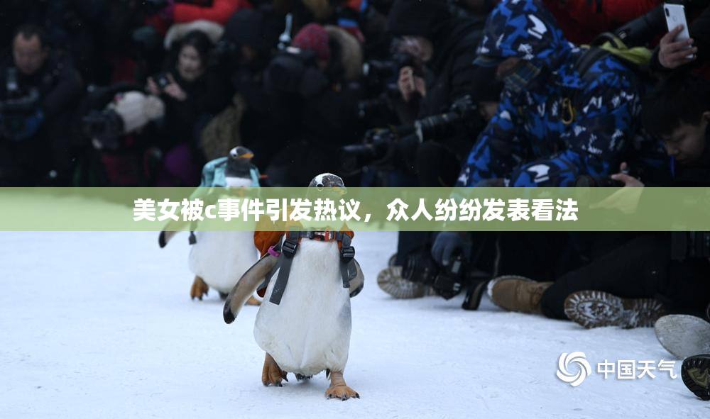 美女被c事件引发热议，众人纷纷发表看法