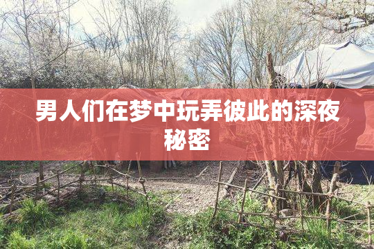 男人们在梦中玩弄彼此的深夜秘密