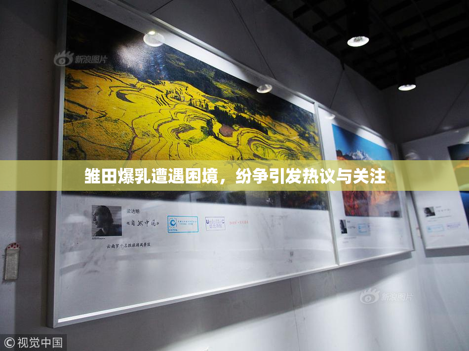 雏田爆乳遭遇困境，纷争引发热议与关注