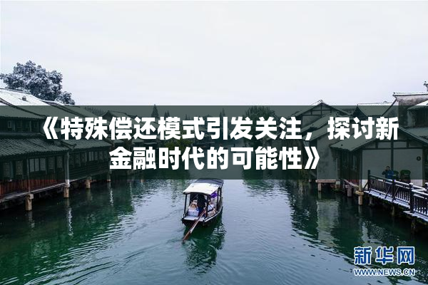 《特殊偿还模式引发关注，探讨新金融时代的可能性》