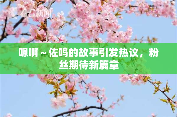 嗯啊～佐鸣的故事引发热议，粉丝期待新篇章