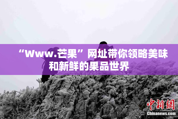 “Www.芒果”网址带你领略美味和新鲜的果品世界