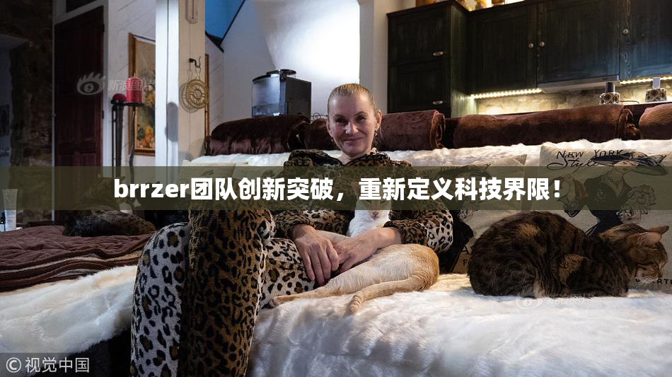 brrzer团队创新突破，重新定义科技界限！