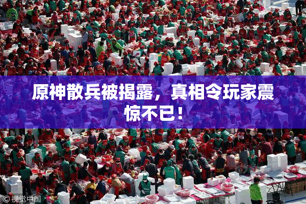原神散兵被揭露，真相令玩家震惊不已！