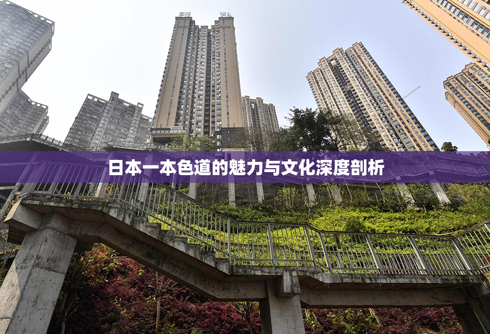 日本一本色道的魅力与文化深度剖析