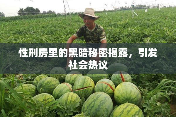 性刑房里的黑暗秘密揭露，引发社会热议