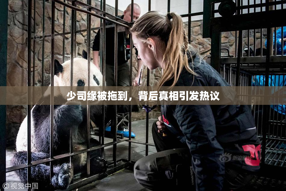 少司缘被拖到，背后真相引发热议