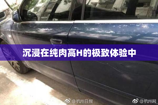 沉浸在纯肉高H的极致体验中