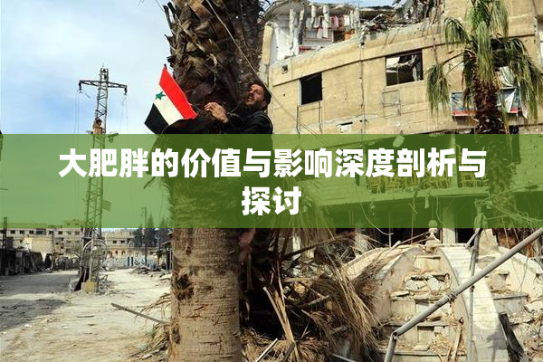 大肥胖的价值与影响深度剖析与探讨