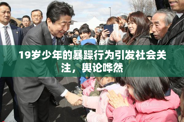 19岁少年的暴躁行为引发社会关注，舆论哗然