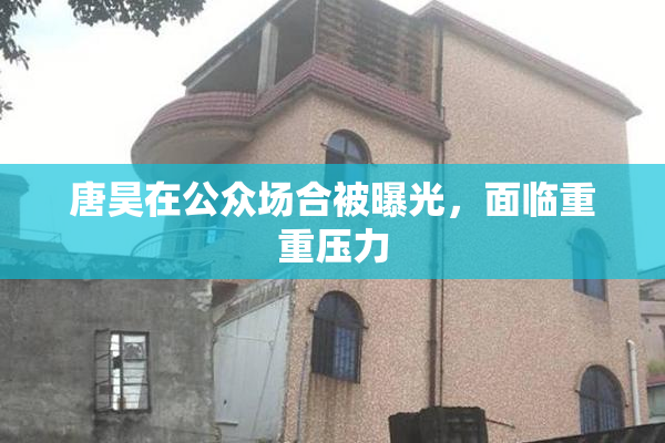 唐昊在公众场合被曝光，面临重重压力