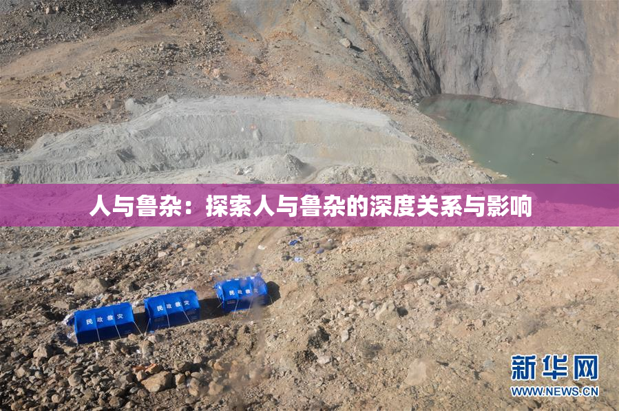 人与鲁杂：探索人与鲁杂的深度关系与影响