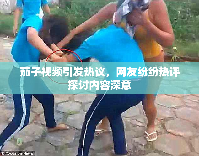 茄子视频引发热议，网友纷纷热评探讨内容深意