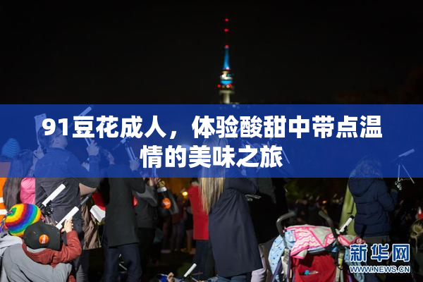 91豆花成人，体验酸甜中带点温情的美味之旅