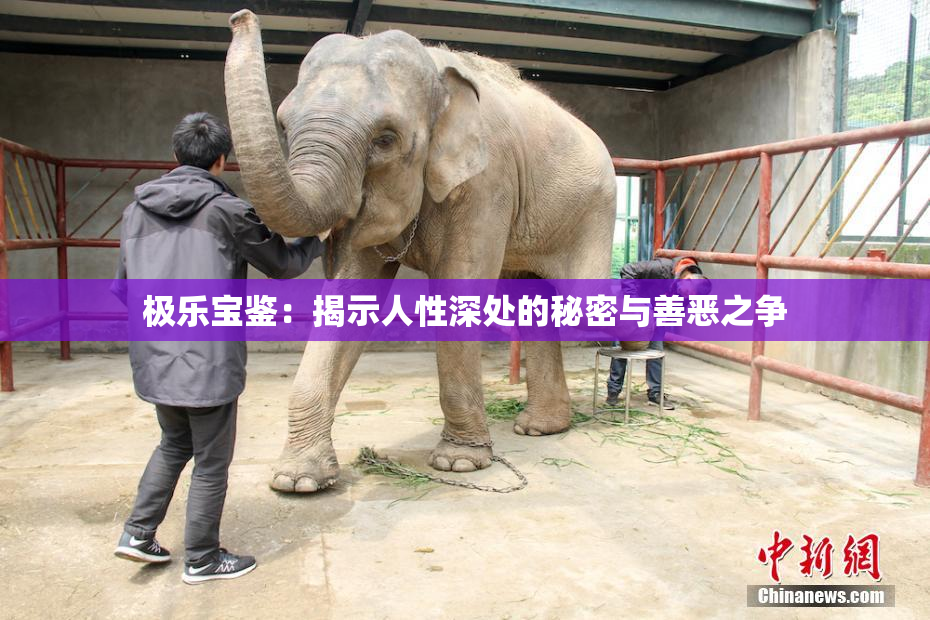 极乐宝鉴：揭示人性深处的秘密与善恶之争