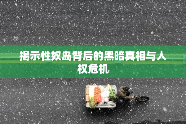揭示性奴岛背后的黑暗真相与人权危机