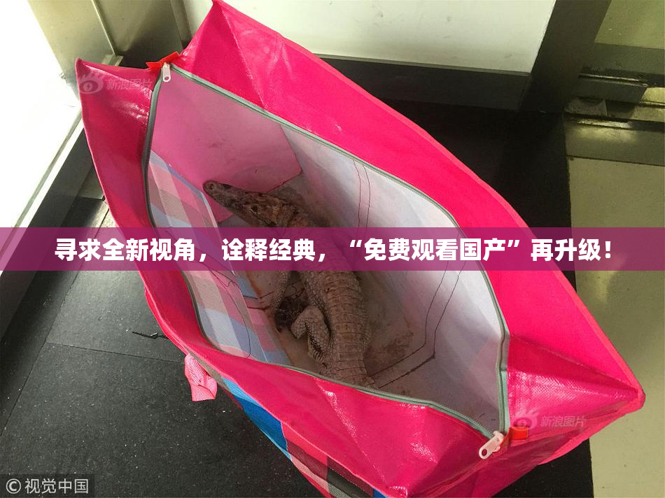 寻求全新视角，诠释经典，“免费观看国产”再升级！