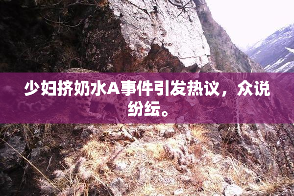 少妇挤奶水A事件引发热议，众说纷纭。