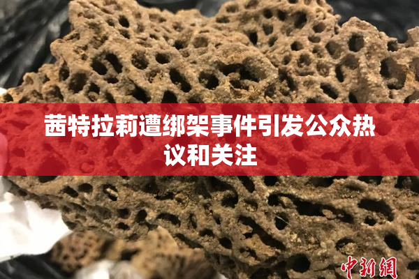 茜特拉莉遭绑架事件引发公众热议和关注