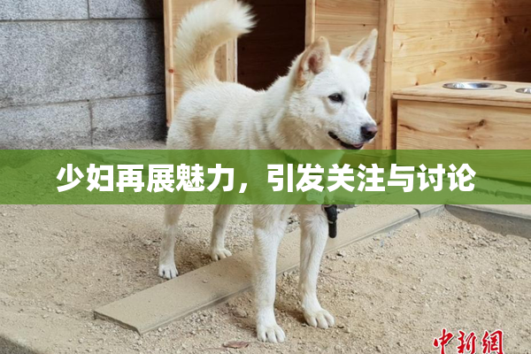 少妇再展魅力，引发关注与讨论