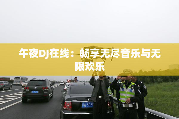 午夜DJ在线：畅享无尽音乐与无限欢乐