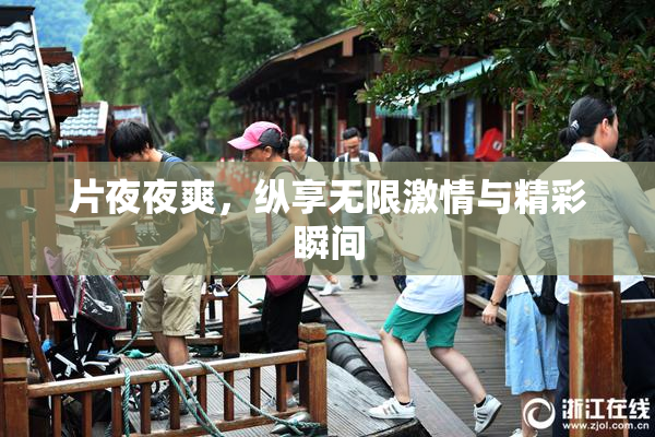 片夜夜爽，纵享无限激情与精彩瞬间