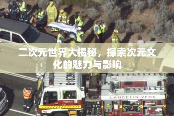 二次元世界大揭秘，探索次元文化的魅力与影响
