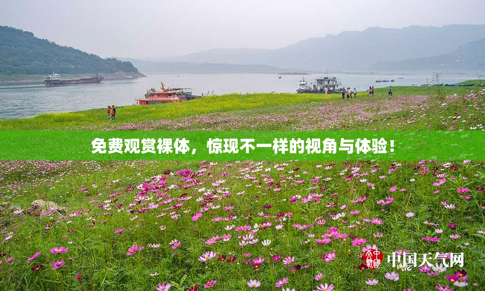 免费观赏裸体，惊现不一样的视角与体验！