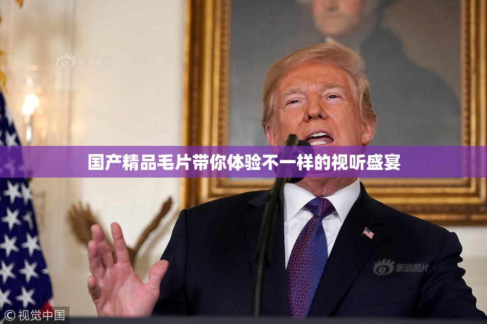 国产精品毛片带你体验不一样的视听盛宴