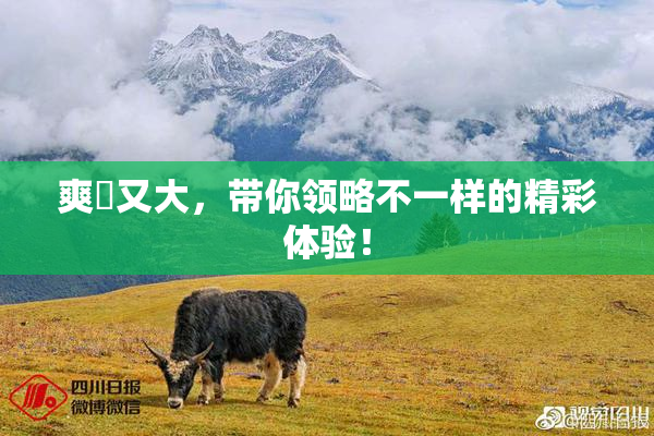 爽擼又大，带你领略不一样的精彩体验！