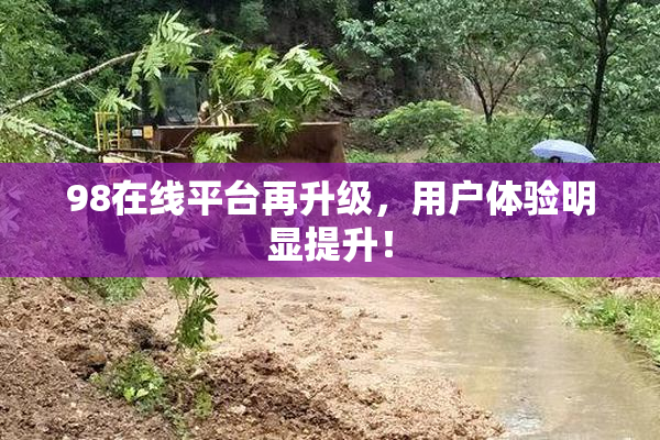 98在线平台再升级，用户体验明显提升！