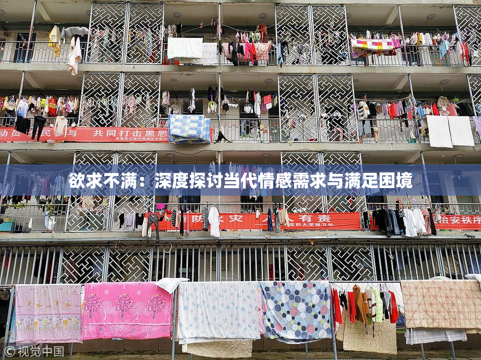 欲求不满：深度探讨当代情感需求与满足困境