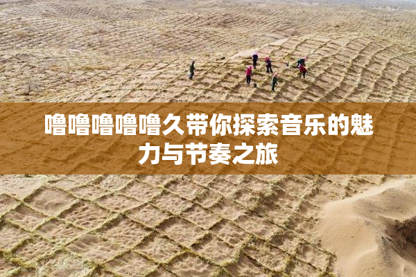 噜噜噜噜噜久带你探索音乐的魅力与节奏之旅