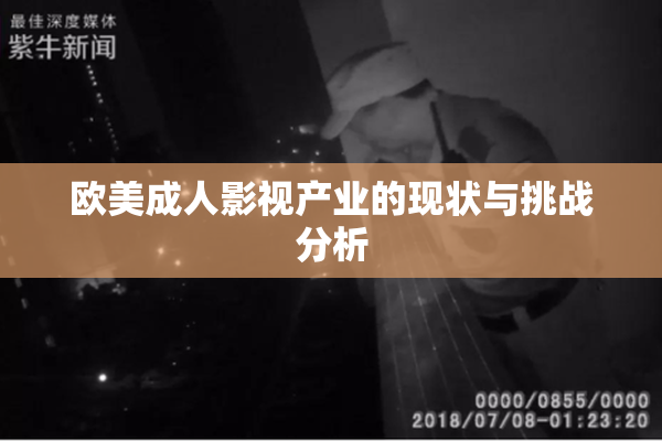 欧美成人影视产业的现状与挑战分析
