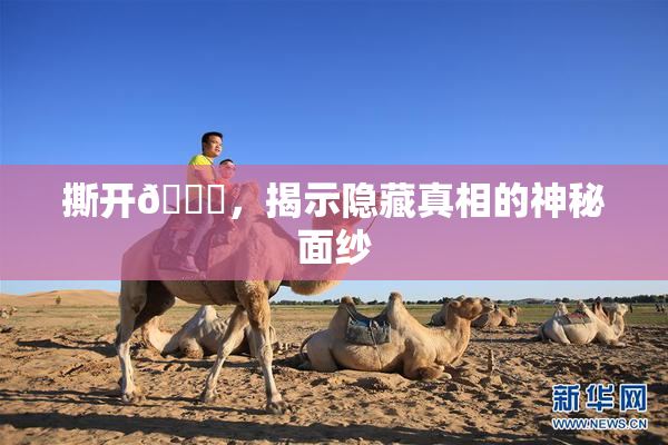 撕开👙，揭示隐藏真相的神秘面纱