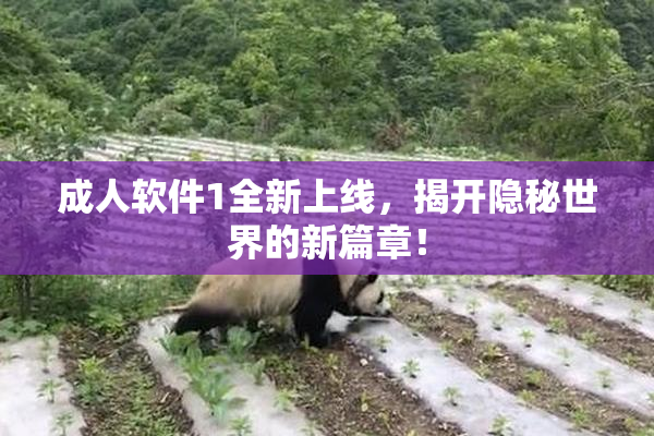 成人软件1全新上线，揭开隐秘世界的新篇章！