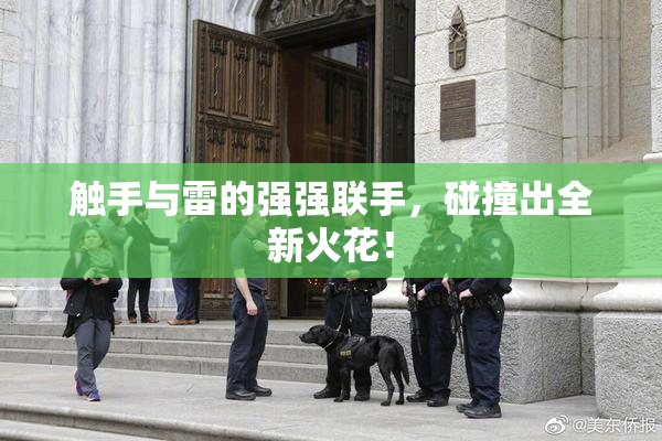 触手与雷的强强联手，碰撞出全新火花！