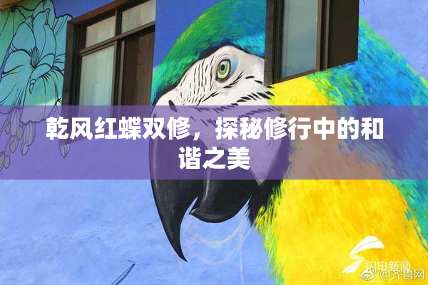 乾风红蝶双修，探秘修行中的和谐之美