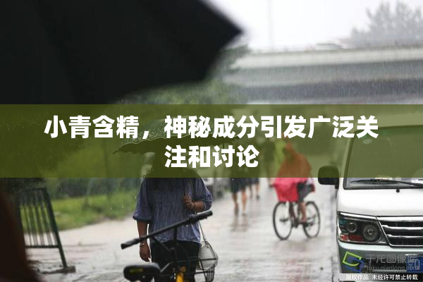 小青含精，神秘成分引发广泛关注和讨论