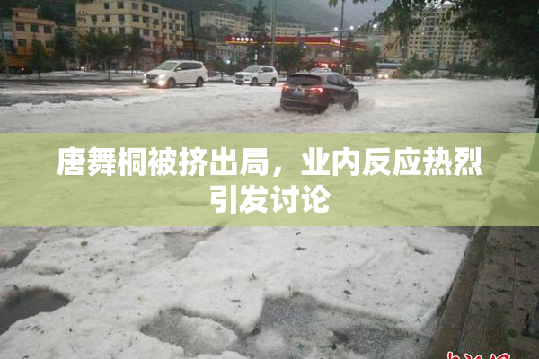 唐舞桐被挤出局，业内反应热烈引发讨论