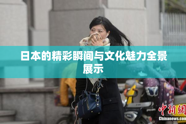 日本的精彩瞬间与文化魅力全景展示
